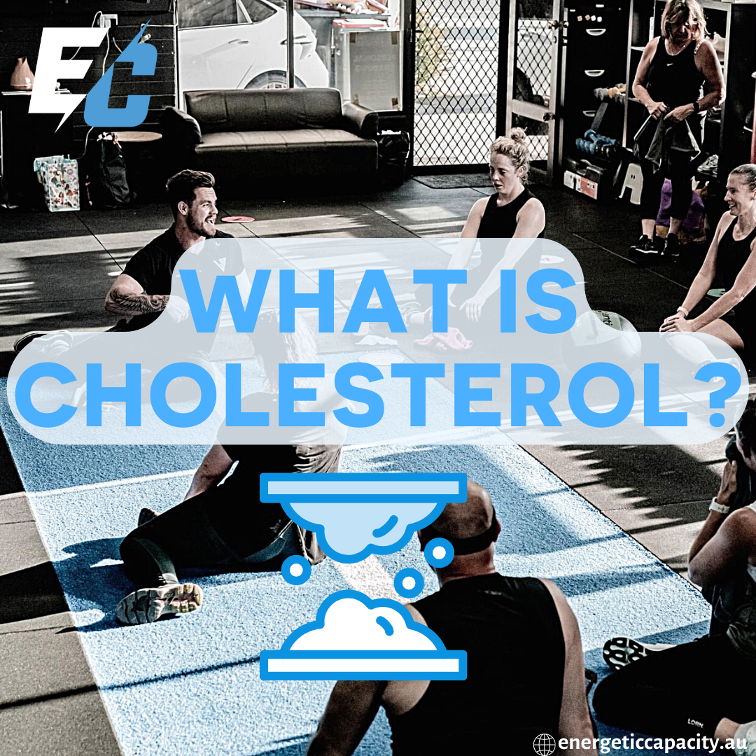 What is CHOLESTEROL?